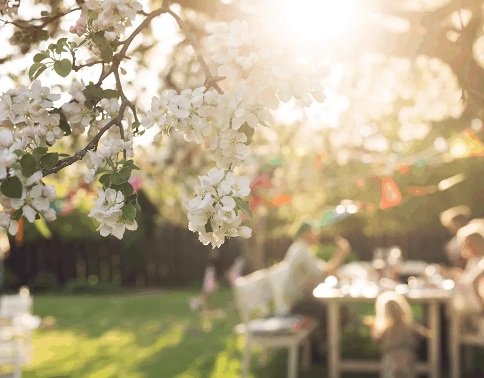 Garden in spring