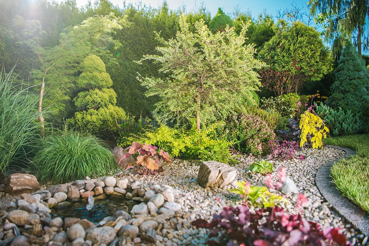 Garden with decorative stones